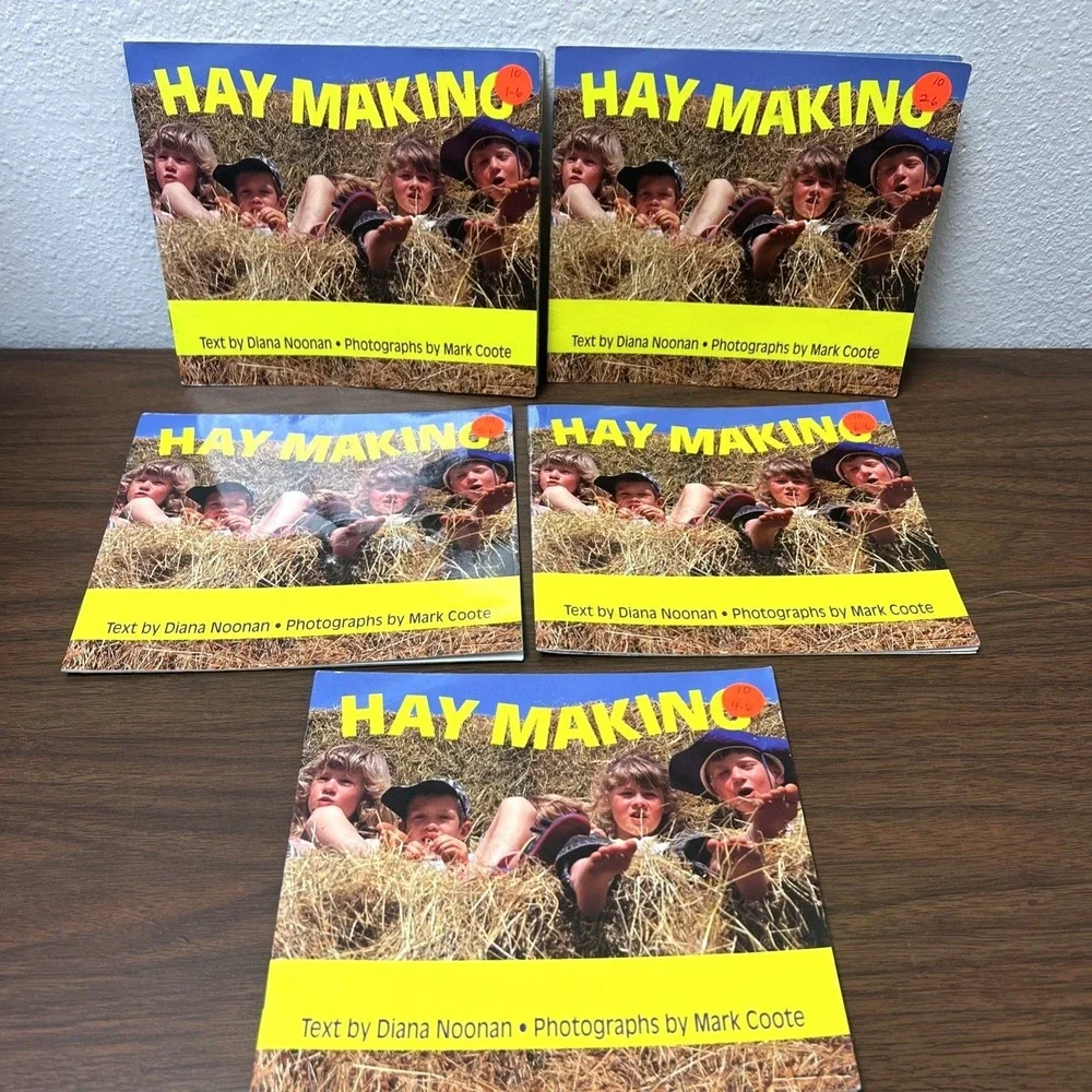 (Lot of 5) Level 1 HAY MAKING Emergent Beginning Readers ( 1st/2nd Grade) Noonan